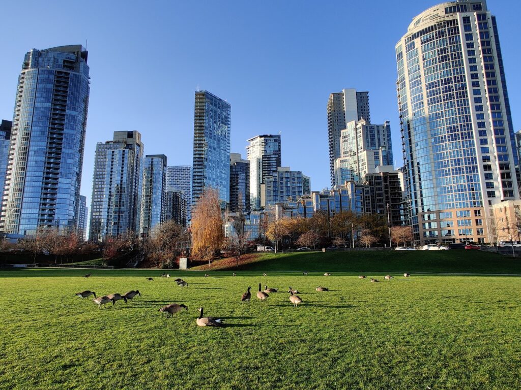 This is the David Lam Park facing many buildings.